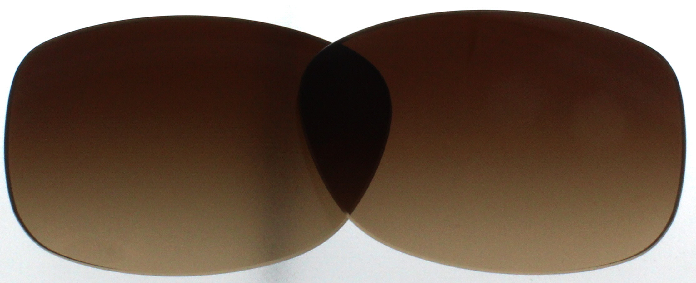 COACH Replacement Lenses HC8168 Brown Gradient 56MM eBay